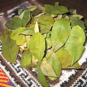 Coca Leaves 100 gr